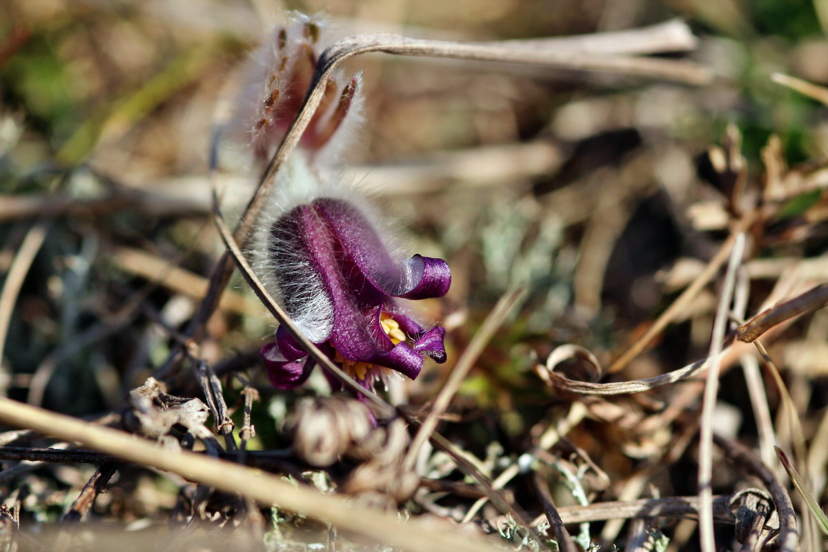 2014_02_25_00035650p_Bildgr��e �ndern