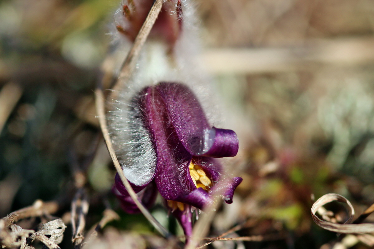 2014_02_25_00035652p_Bildgr��e �ndern