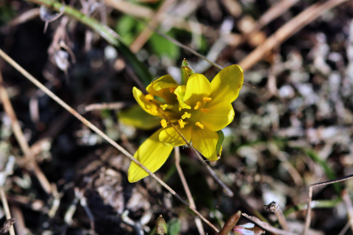 2014_02_25_00035669p_Bildgr��e �ndern