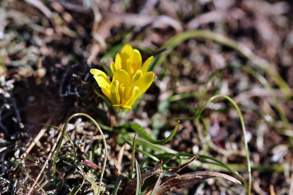 2014_02_25_00035672p_Bildgr��e �ndern