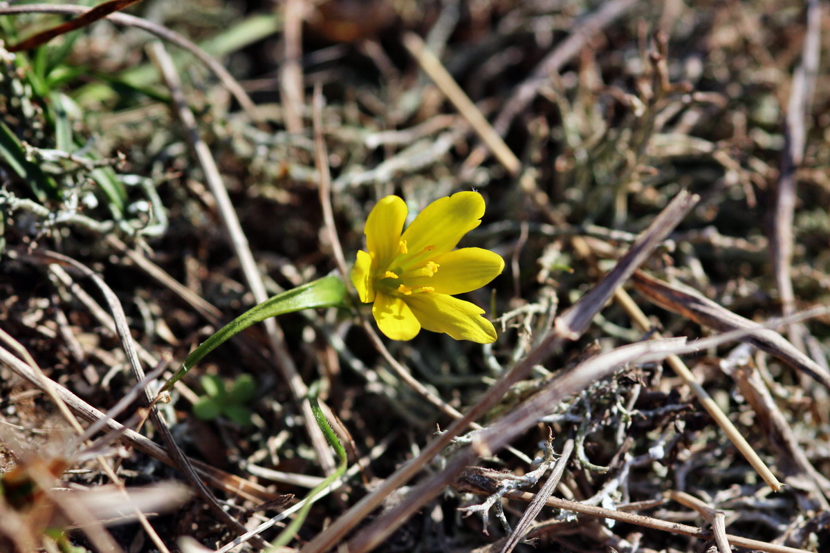 2014_02_25_00035674p_Bildgr��e �ndern