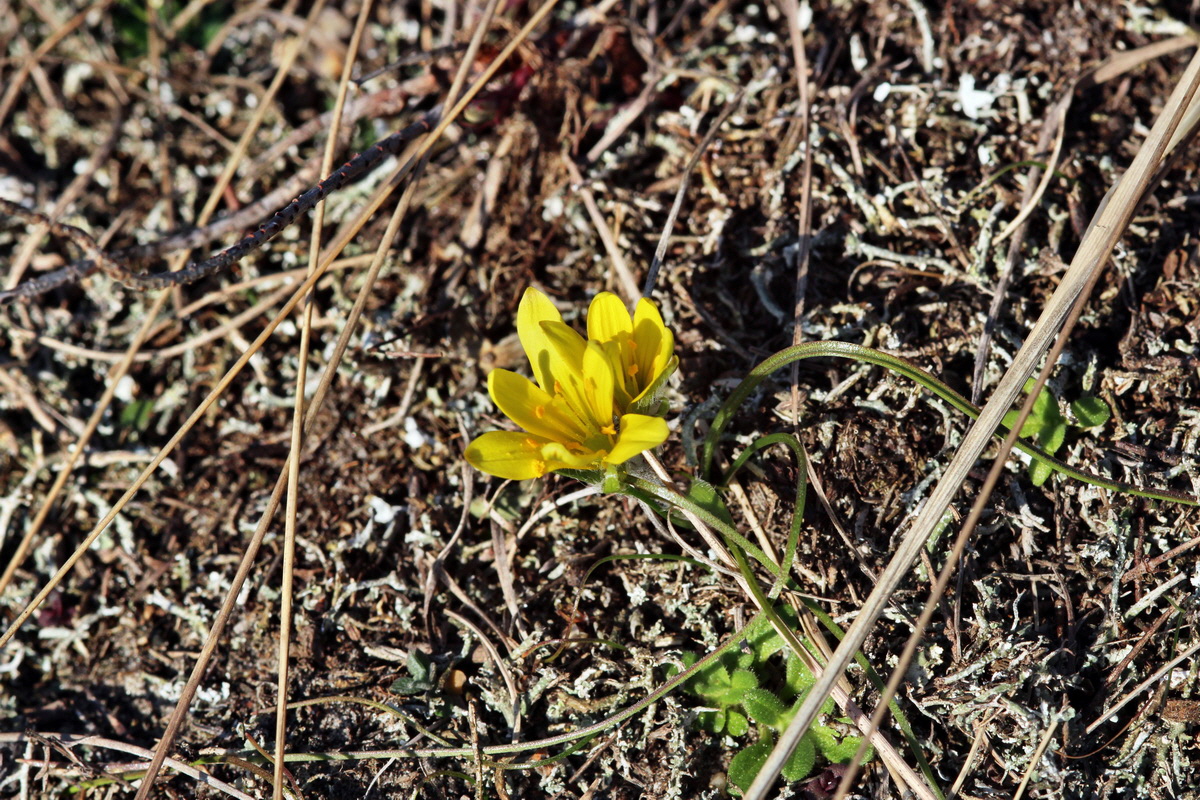 2014_02_25_00035683p_Bildgr��e �ndern