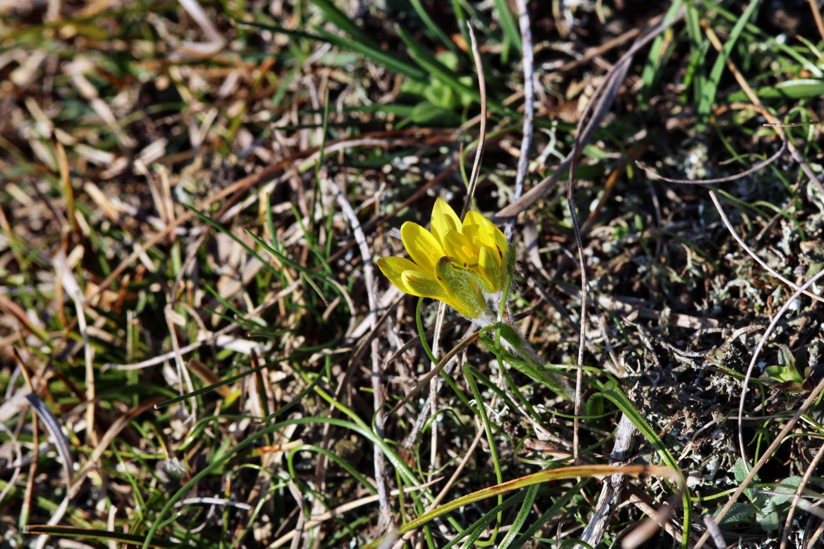 2014_02_25_00035690p_Bildgr��e �ndern