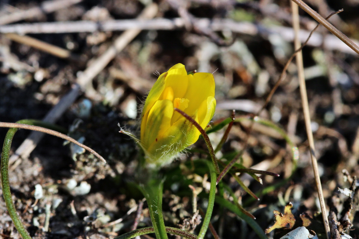 2014_02_25_00035697p_Bildgr��e �ndern