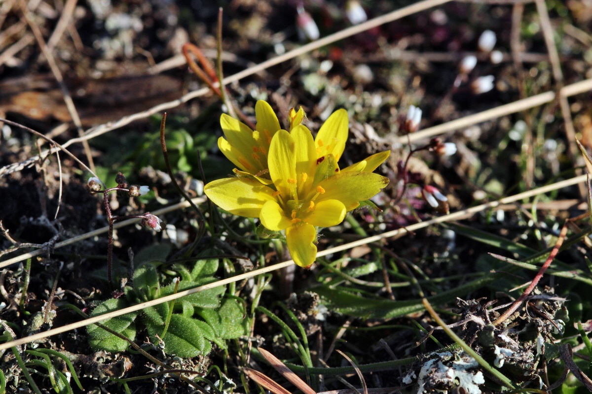 2014_02_25_00035698p_Bildgr��e �ndern