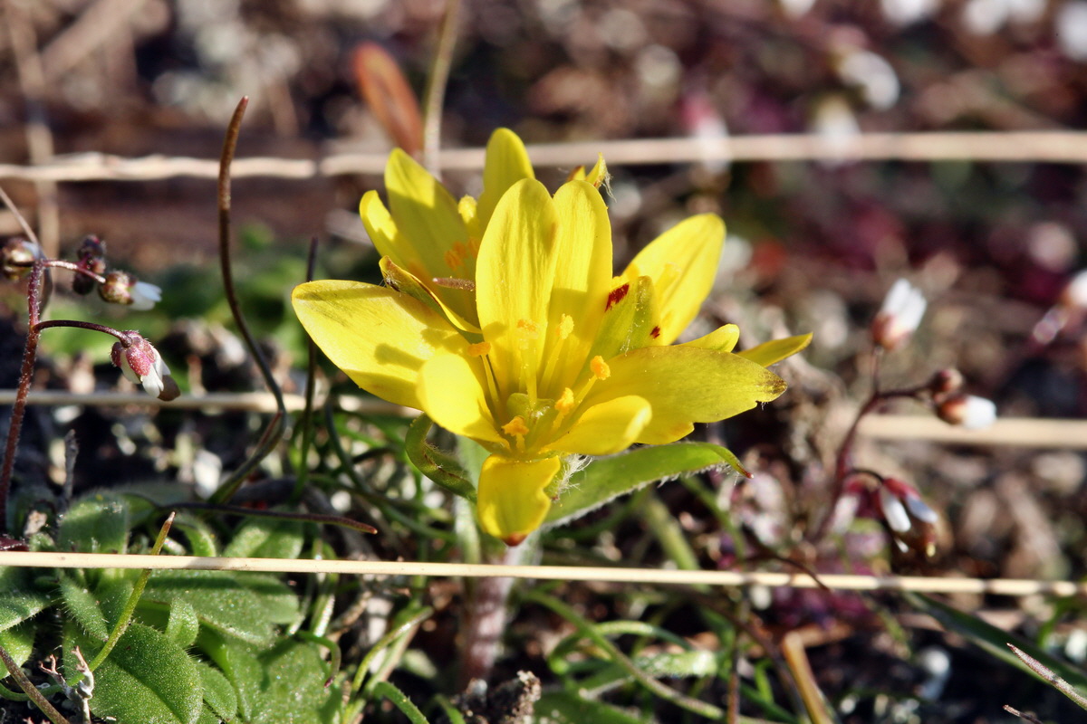 2014_02_25_00035701p_Bildgr��e �ndern