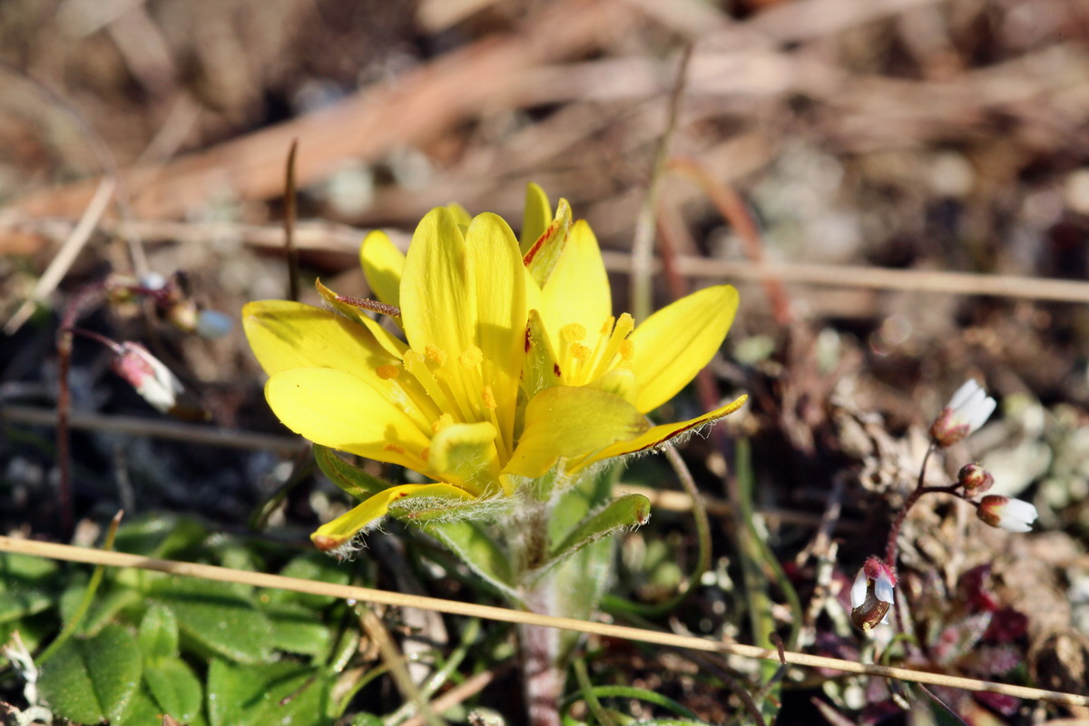 2014_02_25_00035707p_Bildgr��e �ndern