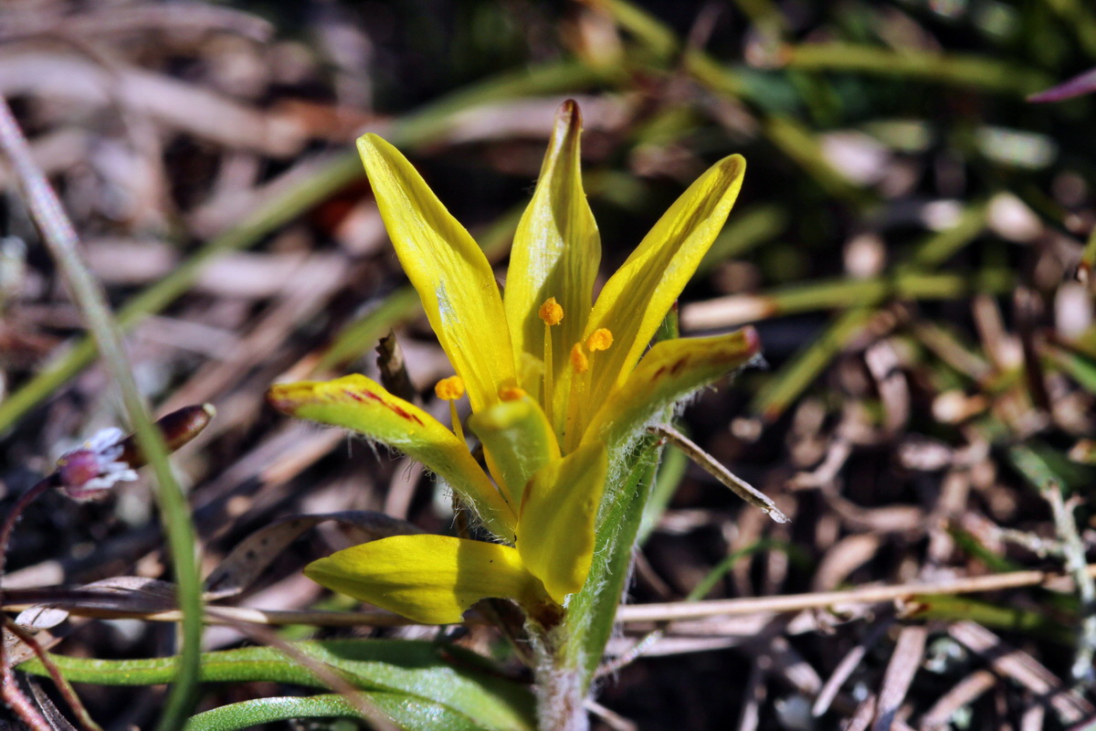 2014_02_25_00035710p_Bildgr��e �ndern