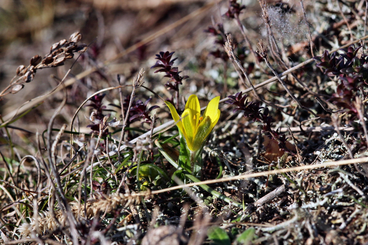 2014_02_25_00035724p_Bildgr��e �ndern