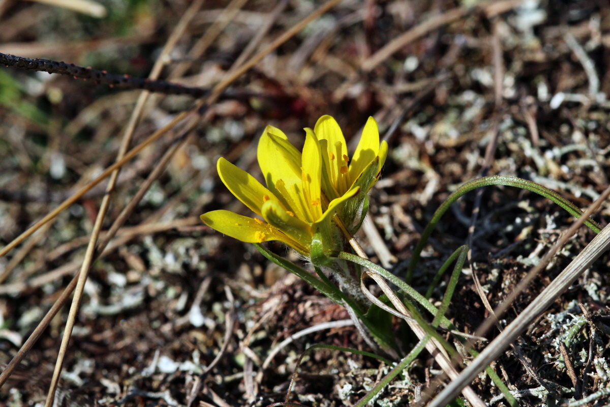 2014_02_25_00035725p_Bildgr��e �ndern