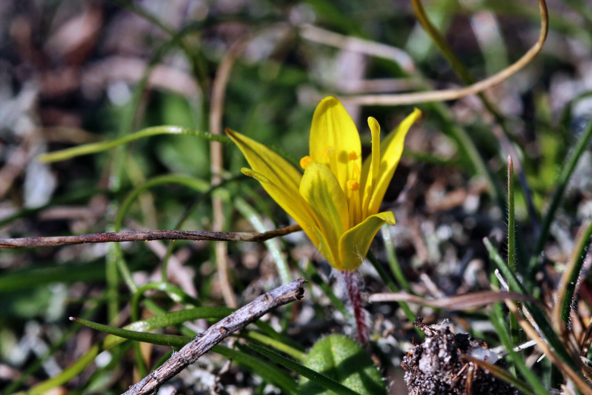 2014_02_25_00035730p_Bildgr��e �ndern