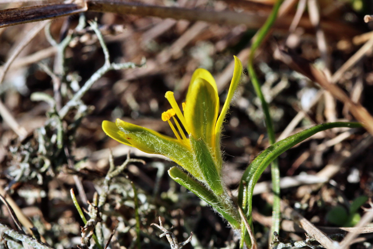 2014_02_25_00035734p_Bildgr��e �ndern