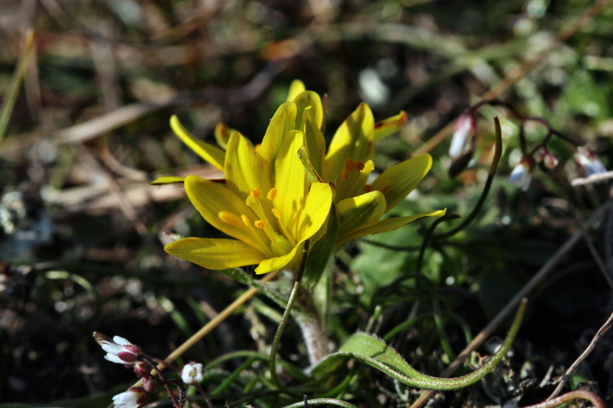 2014_02_25_00035739p_Bildgr��e �ndern