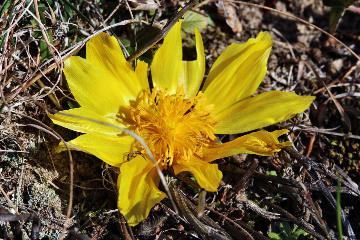 2014_02_25_00035742p_Bildgr��e �ndern