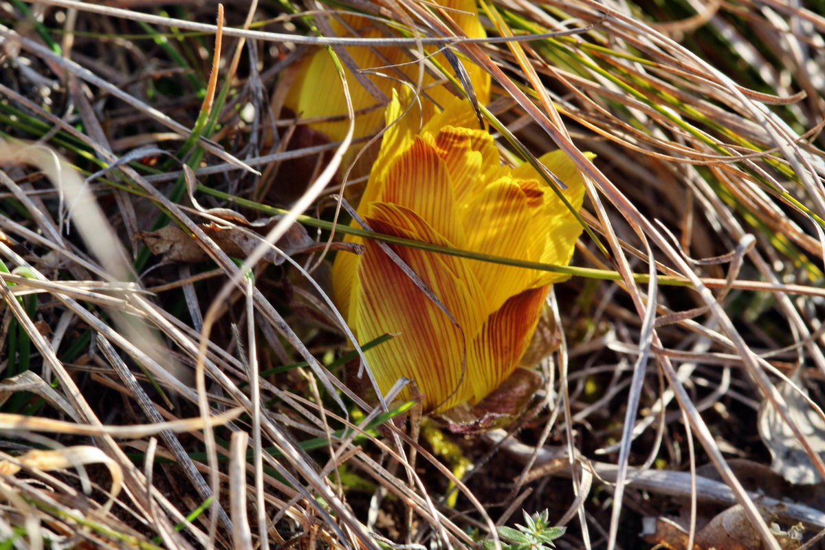 2014_02_25_00035752p_Bildgr��e �ndern