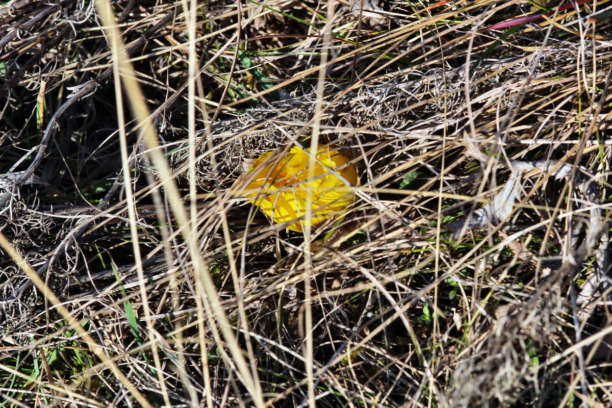 2014_02_25_00035756p_Bildgr��e �ndern