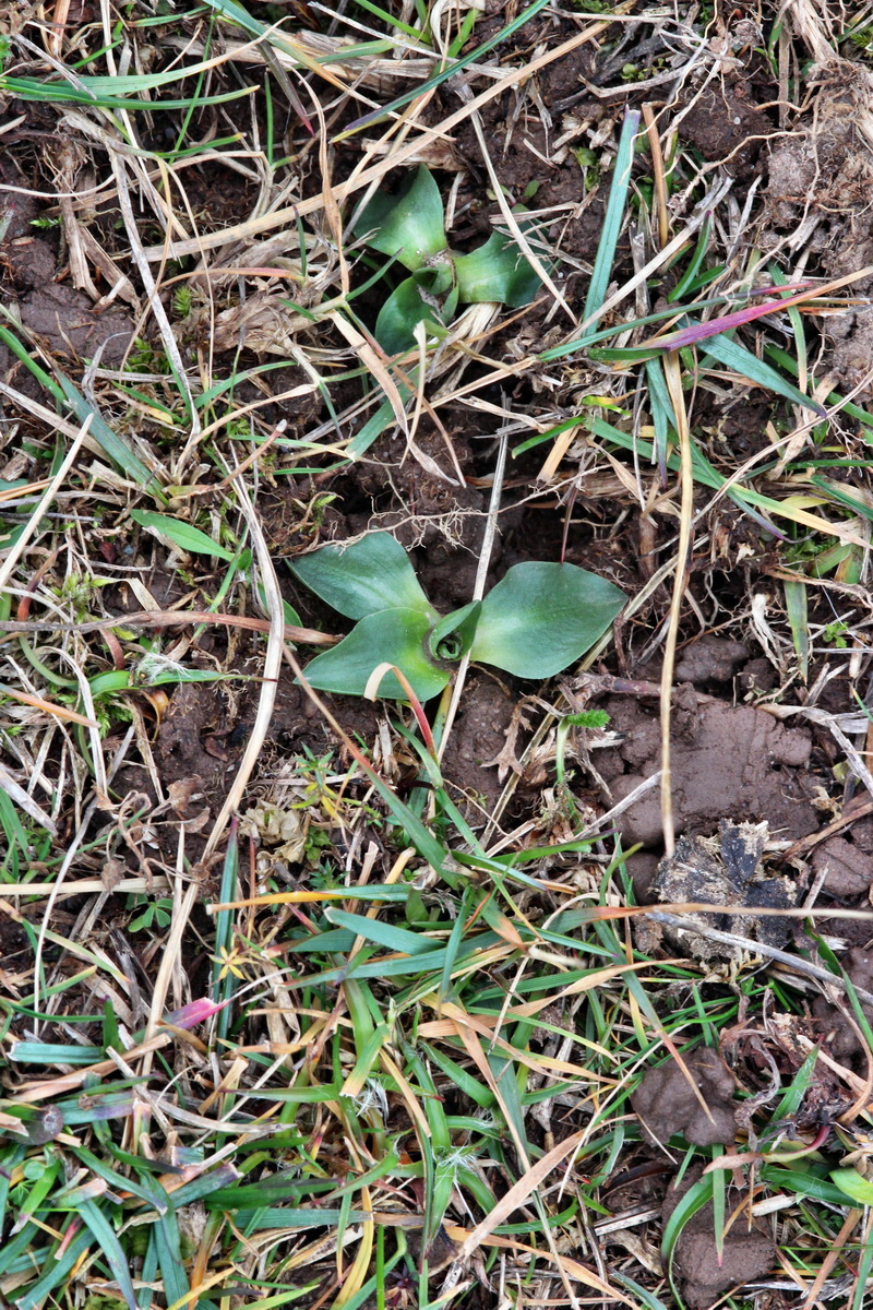 2013_12_28_00033397p_Bildgr��e �ndern