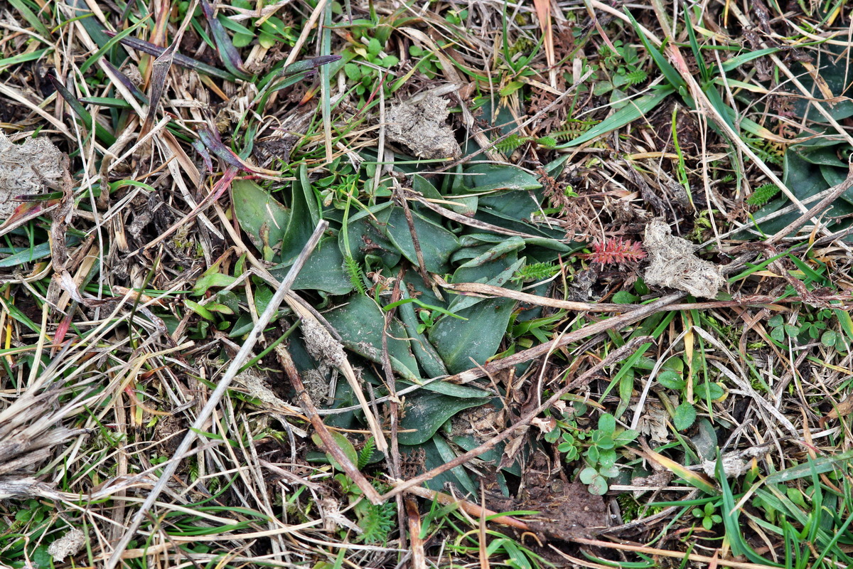 2013_12_28_00033401p_Bildgr��e �ndern