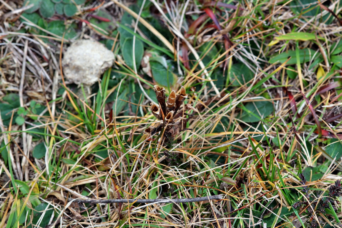 2013_12_28_00033405p_Bildgr��e �ndern