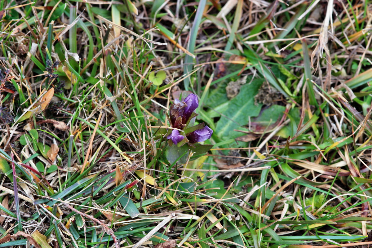 2013_12_28_00033410p_Bildgr��e �ndern