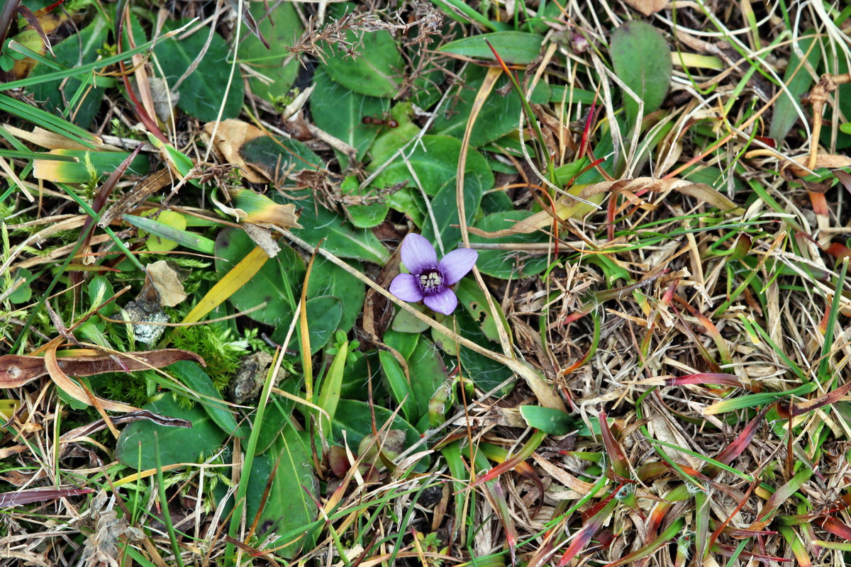 2013_12_28_00033412p_Bildgr��e �ndern