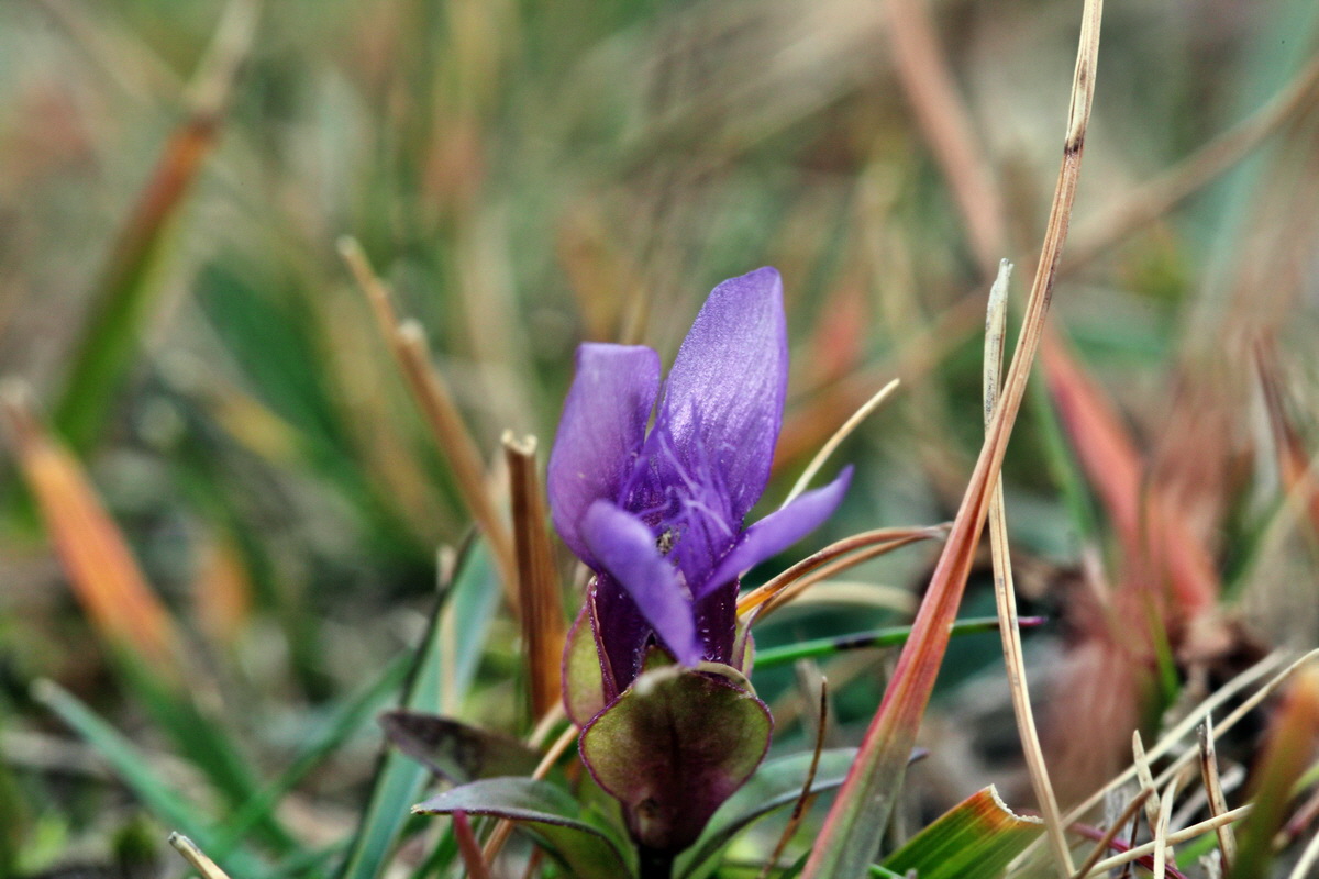 2013_12_28_00033418p_Bildgr��e �ndern