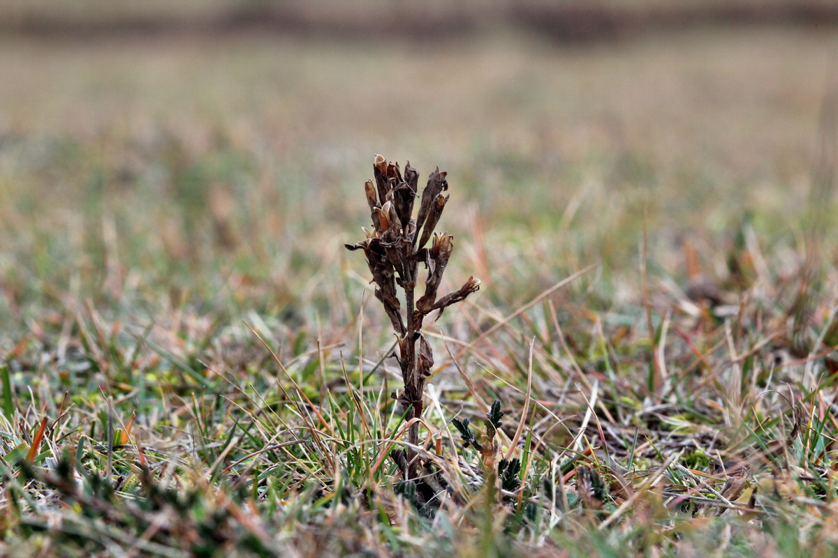 2013_12_28_00033428p_Bildgr��e �ndern