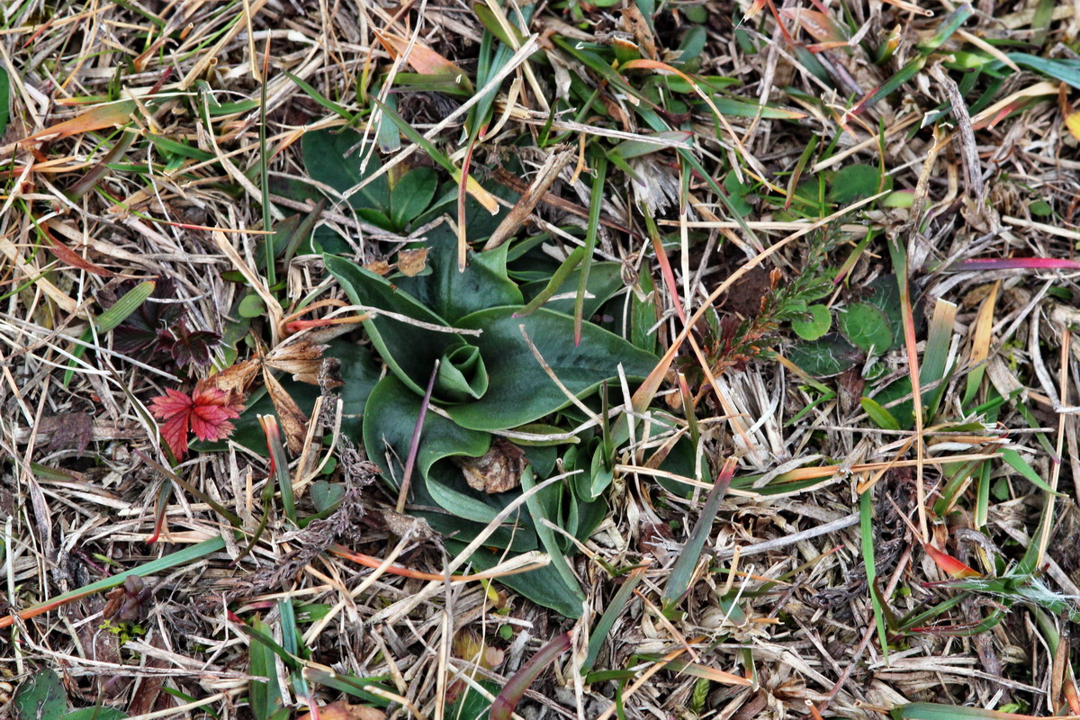 2013_12_28_00033438p_Bildgr��e �ndern