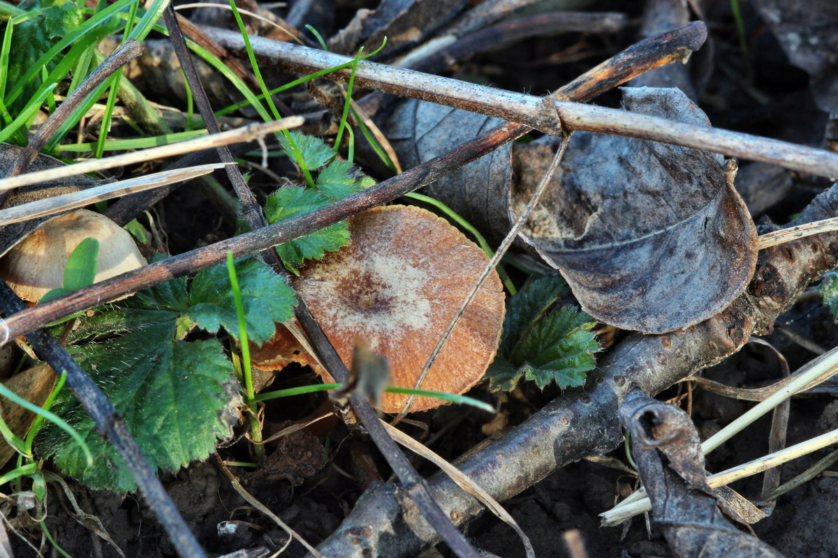 2014_01_11_00033639p_Bildgr��e �ndern