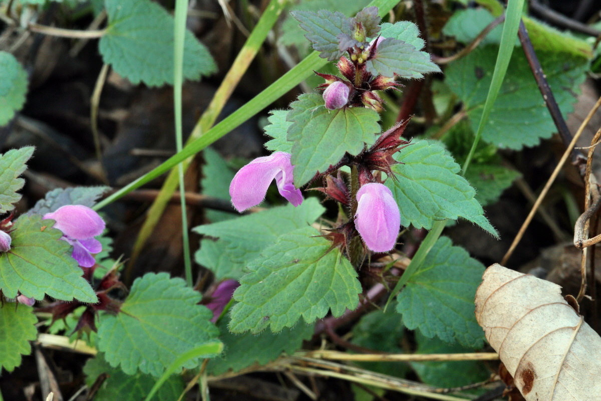 2014_01_11_00033646p_Bildgr��e �ndern