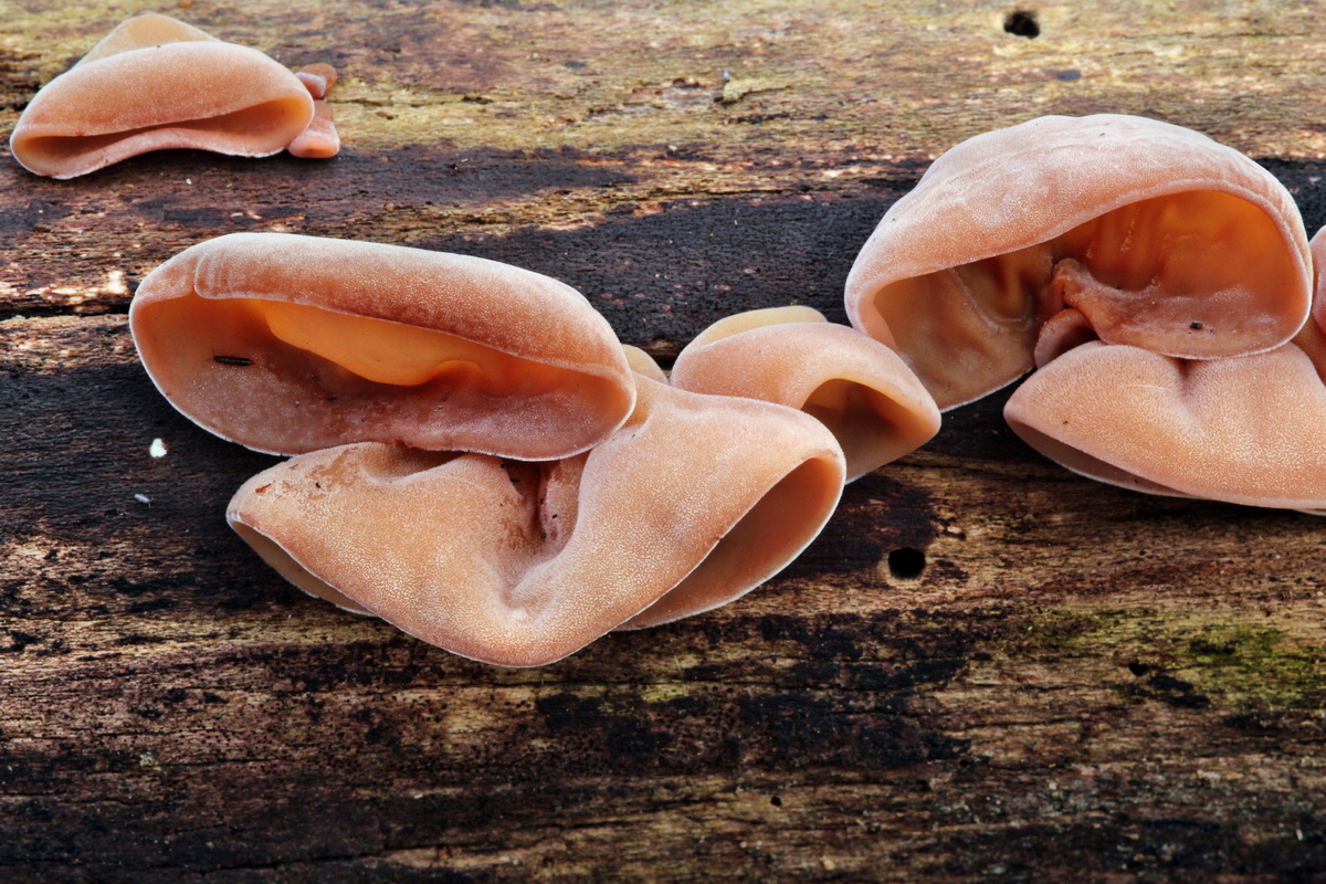 2014_01_11_00033663p_Bildgr��e �ndern