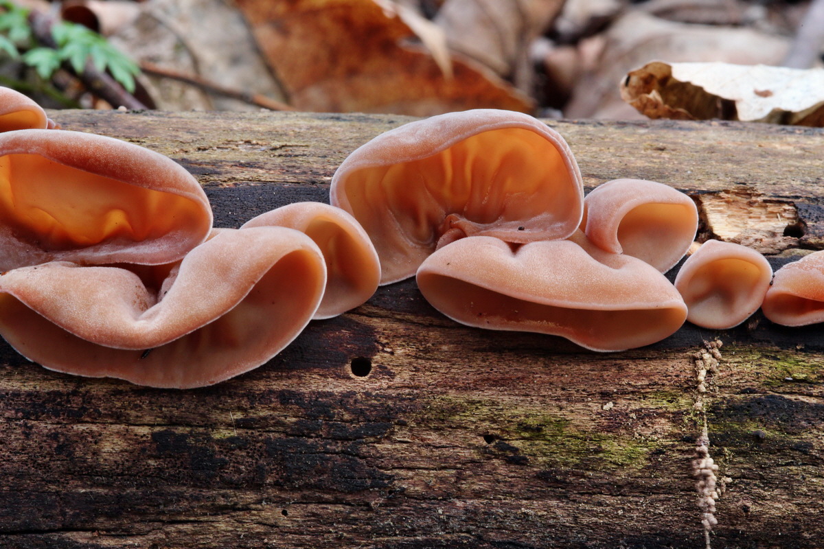 2014_01_11_00033667p_Bildgr��e �ndern