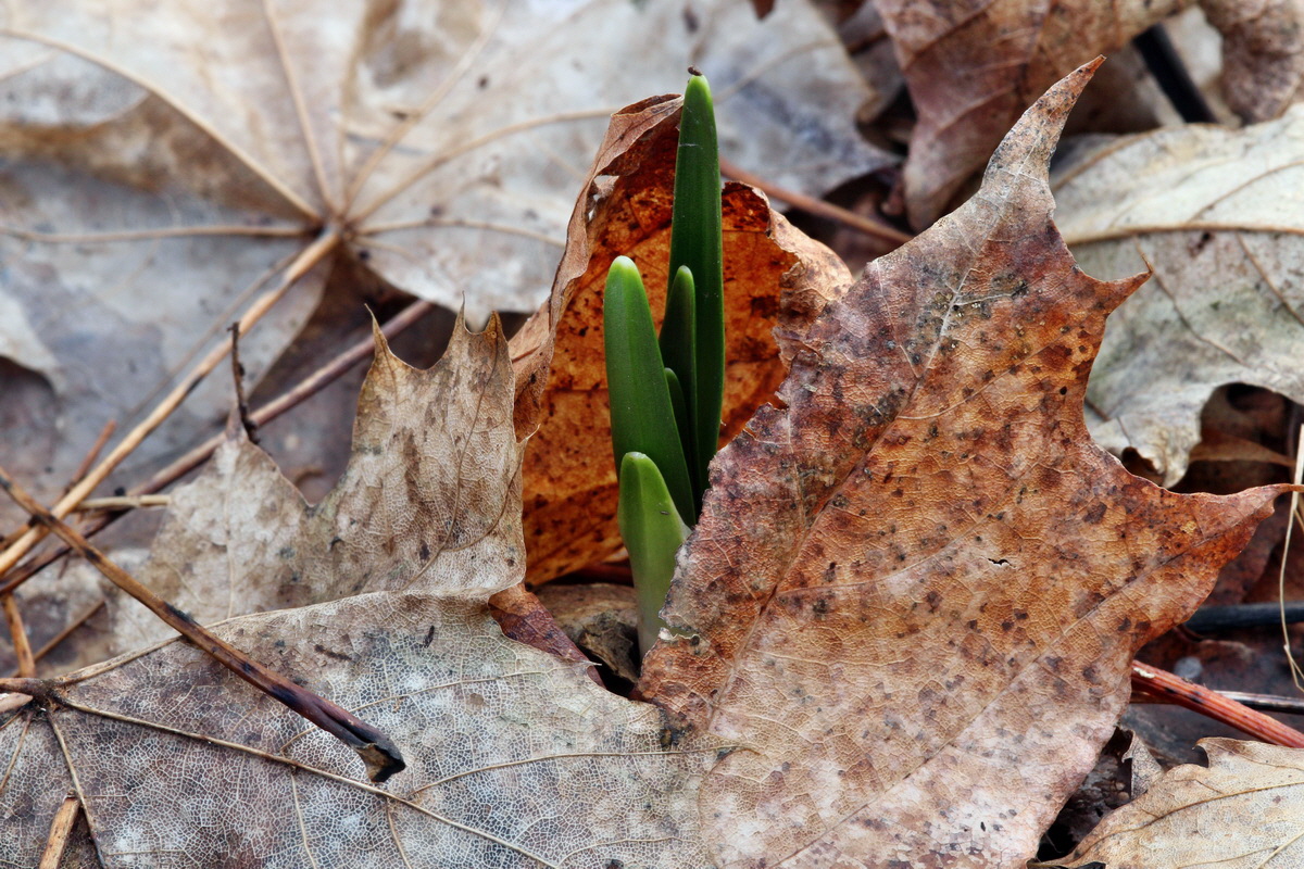 2014_01_11_00033668p_Bildgr��e �ndern