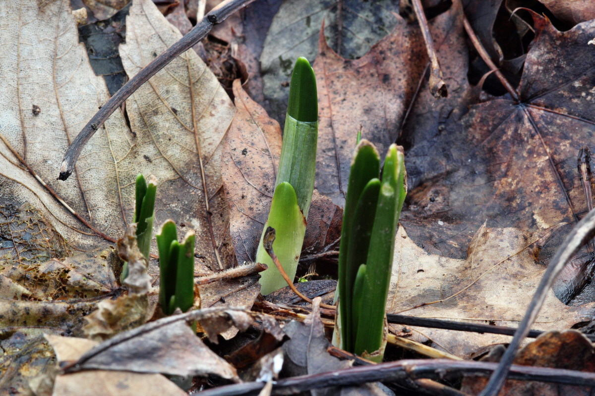 2014_01_11_00033674p_Bildgr��e �ndern