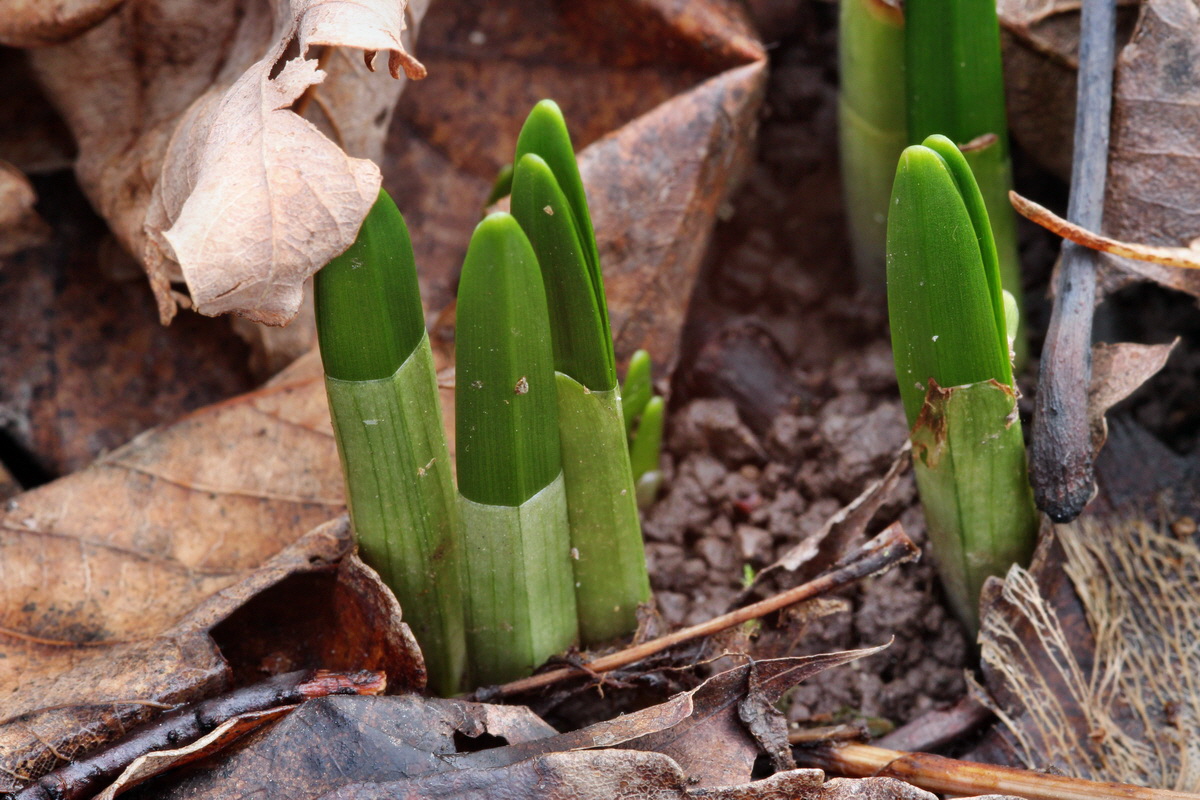 2014_01_11_00033678p_Bildgr��e �ndern