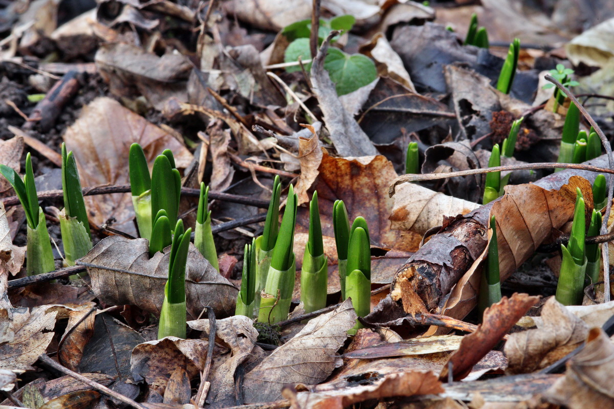 2014_01_11_00033682p_Bildgr��e �ndern