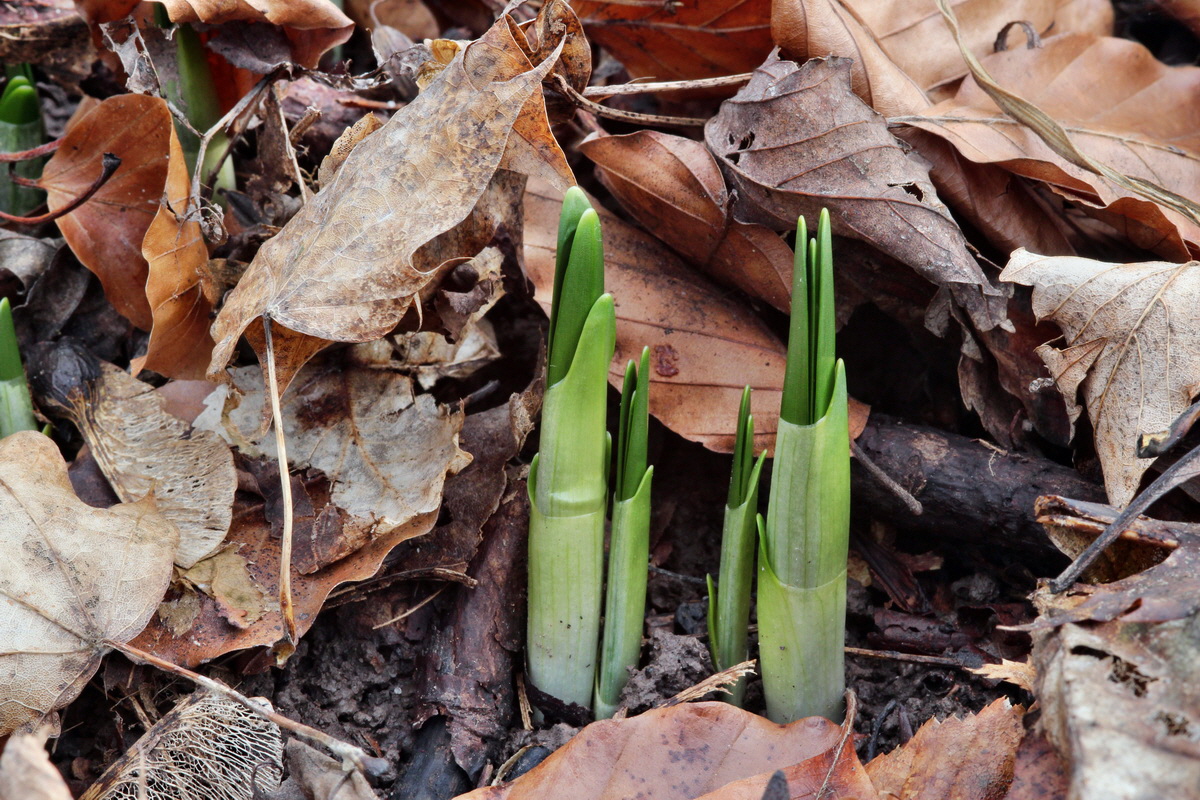 2014_01_11_00033687p_Bildgr��e �ndern