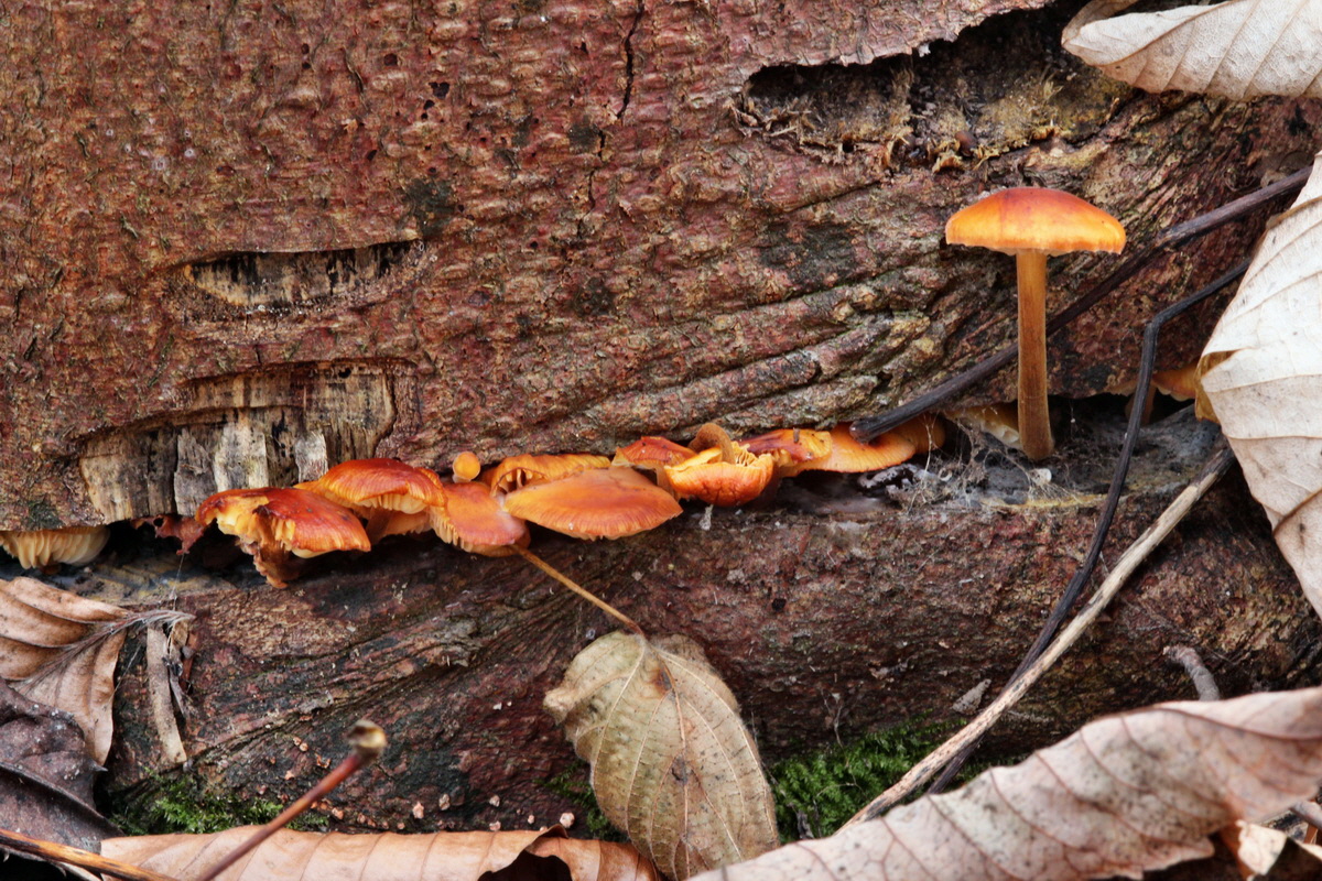 2014_01_11_00033689p_Bildgr��e �ndern