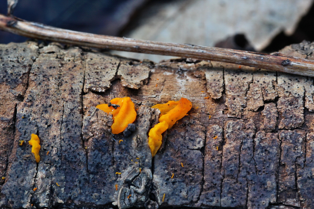 2014_01_11_00033694p_Bildgr��e �ndern