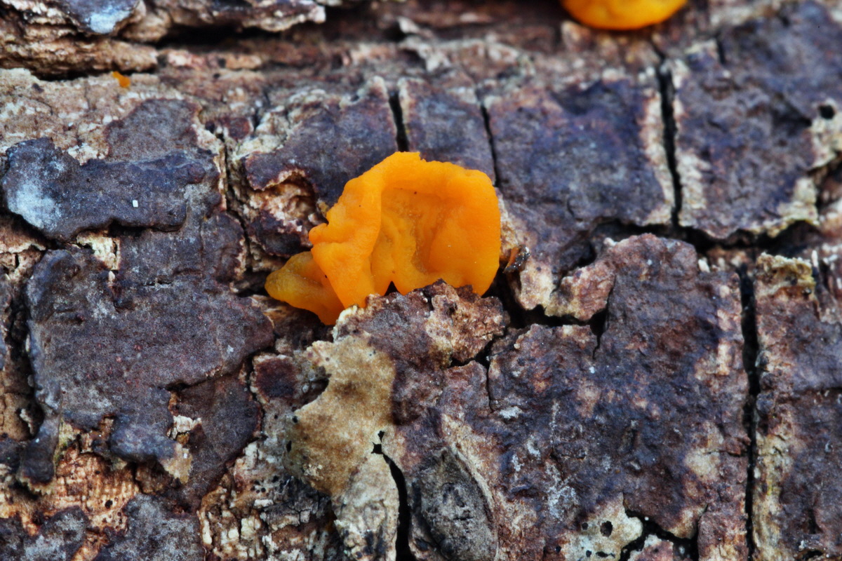 2014_01_11_00033698p_Bildgr��e �ndern