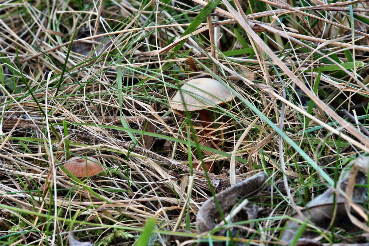 2014_01_11_00033701p_Bildgr��e �ndern