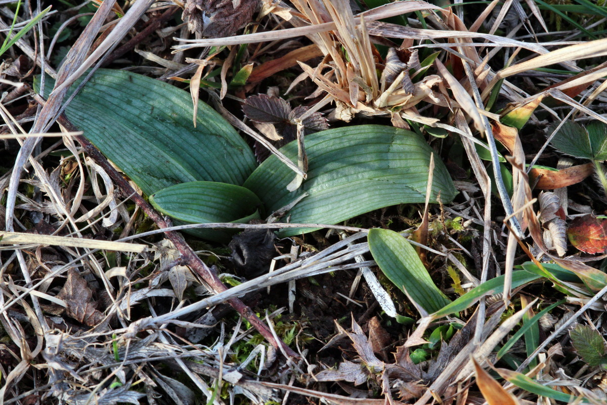 2014_01_11_00033720p_Bildgr��e �ndern