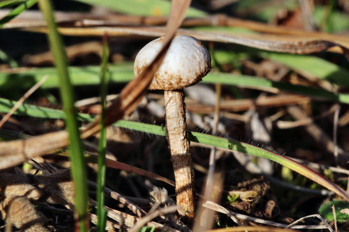 2014_01_11_00033728p_Bildgr��e �ndern