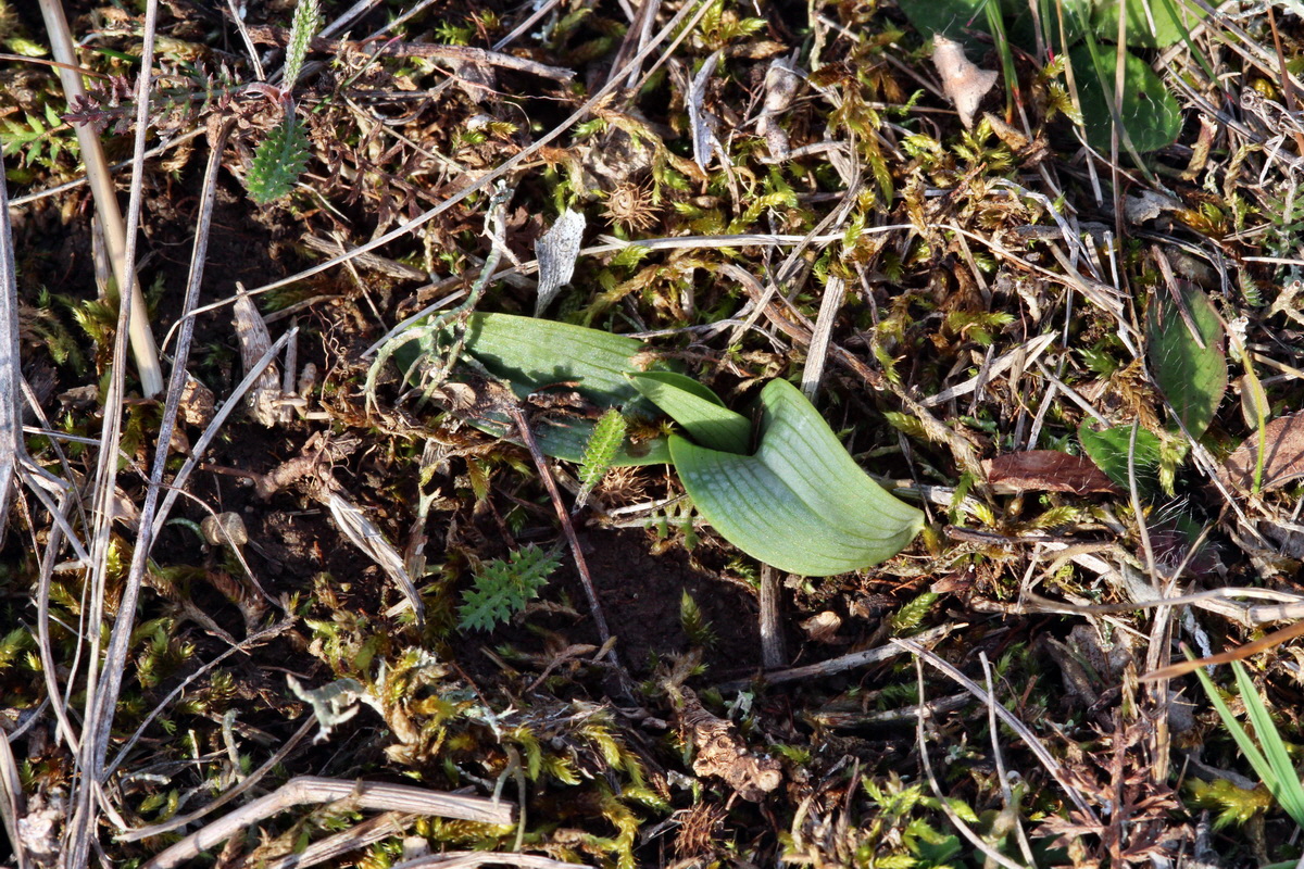 2014_01_11_00033735p_Bildgr��e �ndern