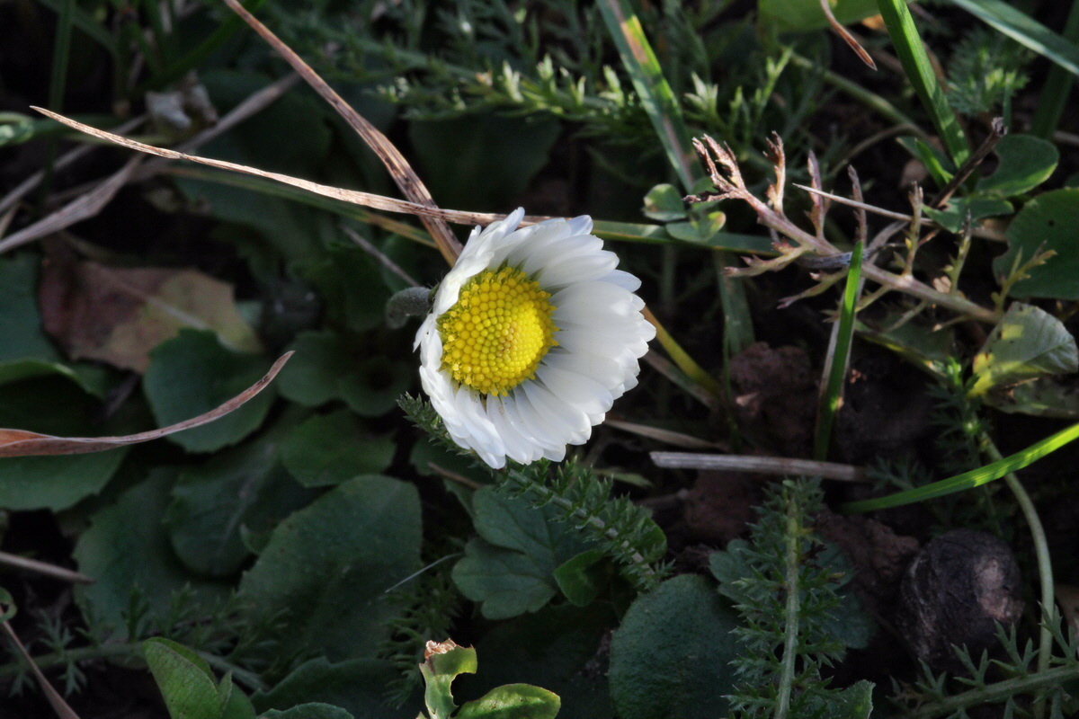 2014_01_11_00033737p_Bildgr��e �ndern