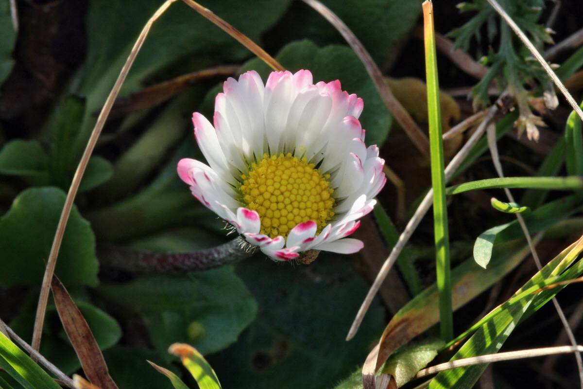 2014_01_11_00033743p_Bildgr��e �ndern