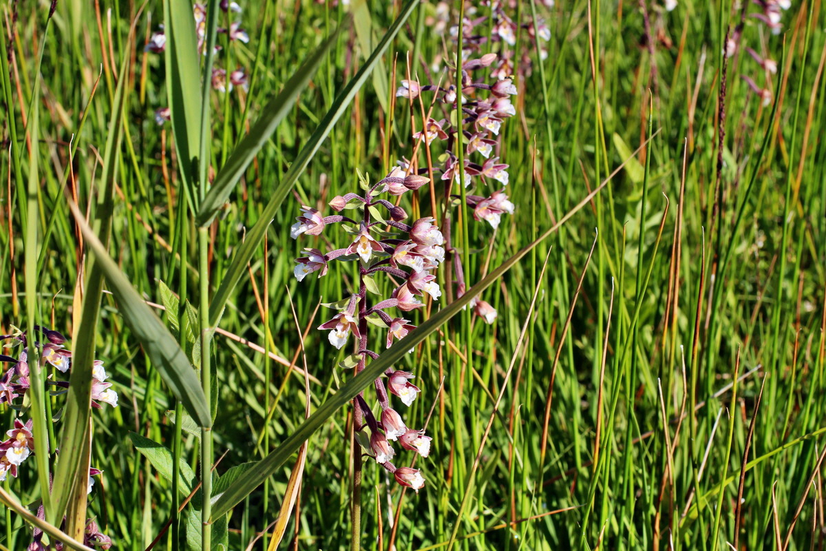 2014_07_02_00047703p_Bildgr��e �ndern