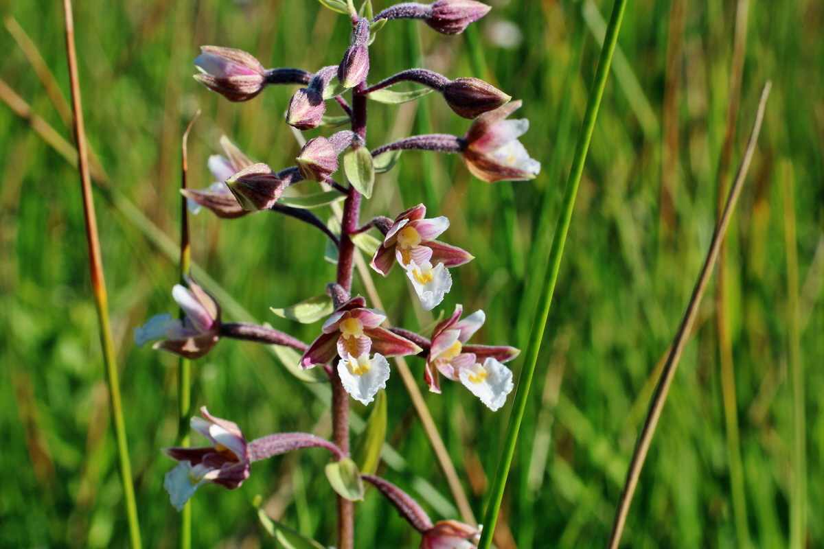 2014_07_02_00047706p_Bildgr��e �ndern