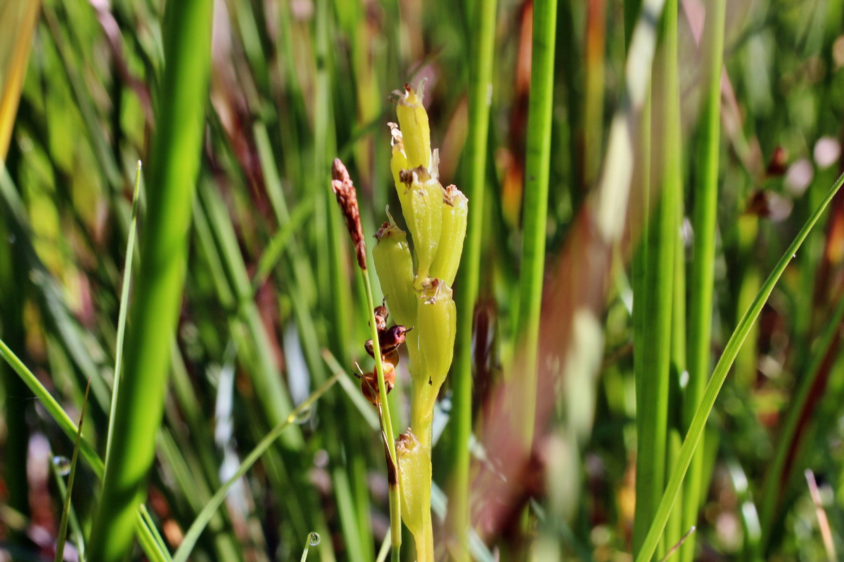 2014_07_02_00047733p_Bildgr��e �ndern