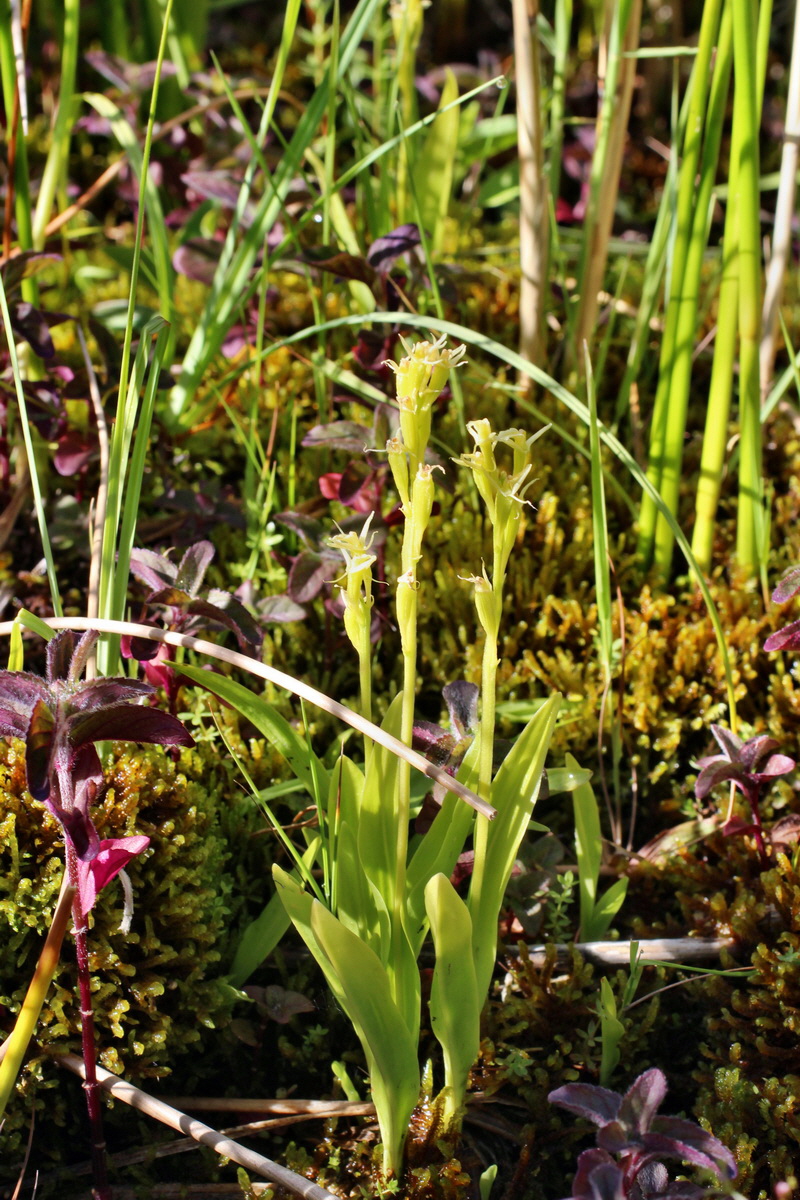 2014_07_02_00047736p_Bildgr��e �ndern